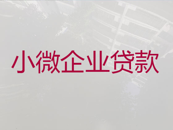 柳州企业信用贷款中介